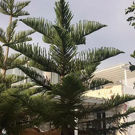 빌라 Paros Alyki